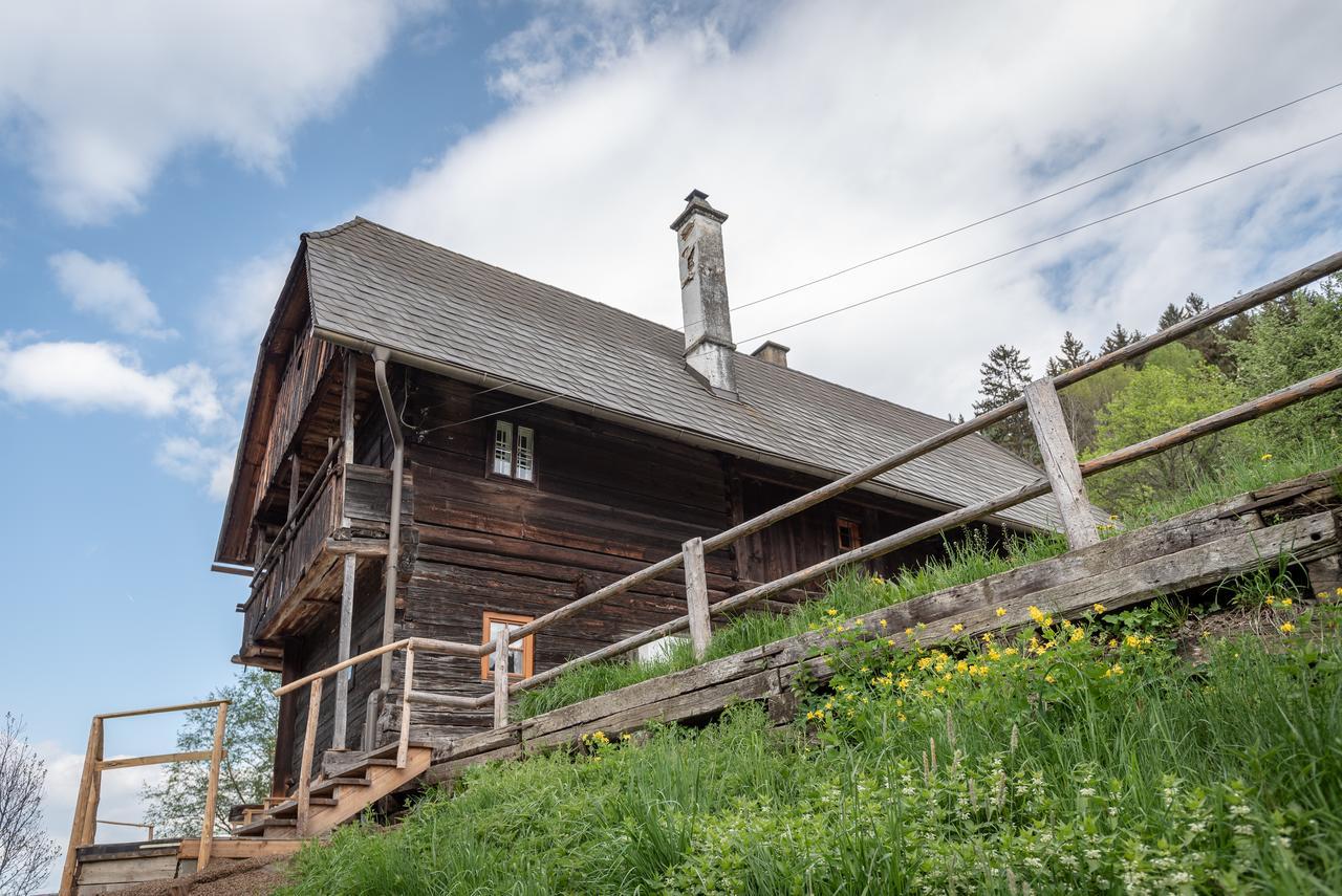 Urlaub Auf Der Alm "Deluxe" Villa Preggraben Bagian luar foto
